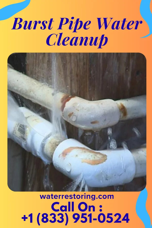 Burst Pipe Water Cleanup in Blakely, PA