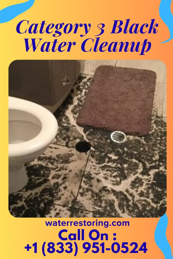Category 3 Black Water Cleanup in Blakely, PA