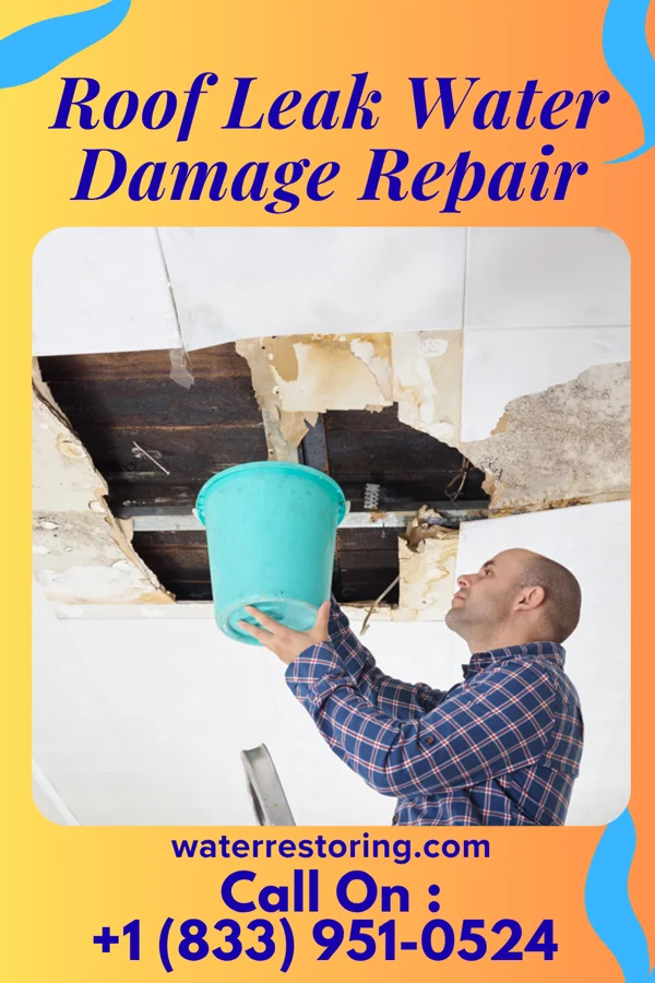 Roof Leak Water Damage Repair in Blakely, PA