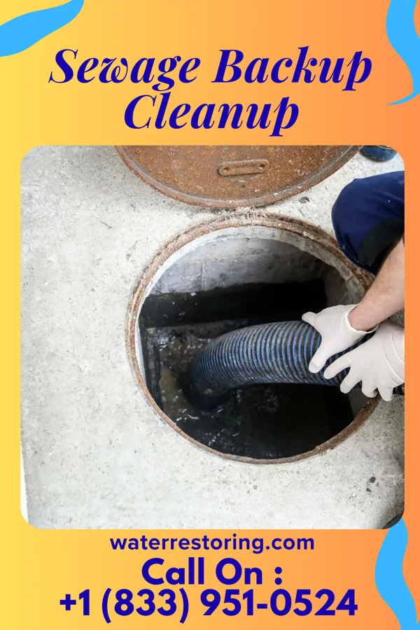 Sewage Backup Cleanup in Blakely, PA