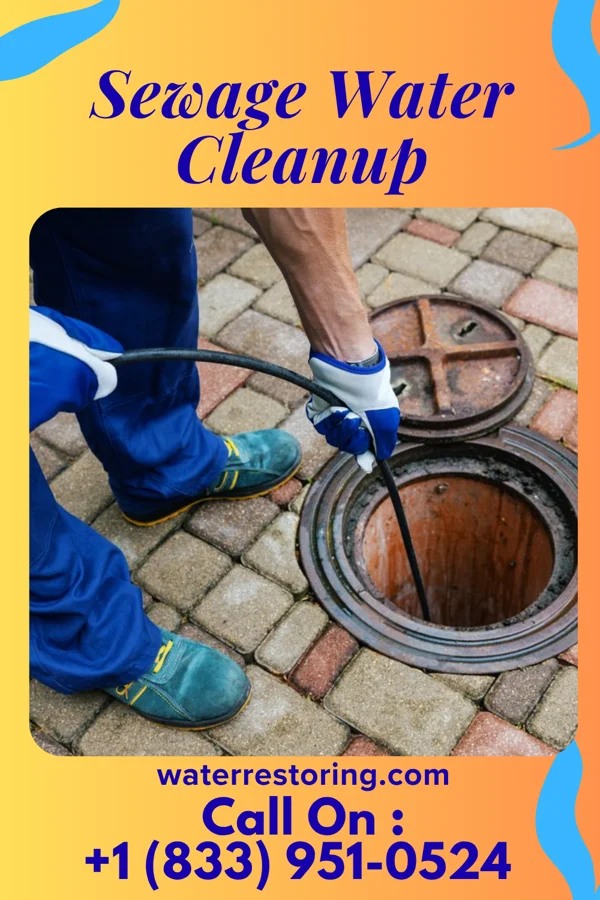 Sewage Water Cleanup in Blakely, PA