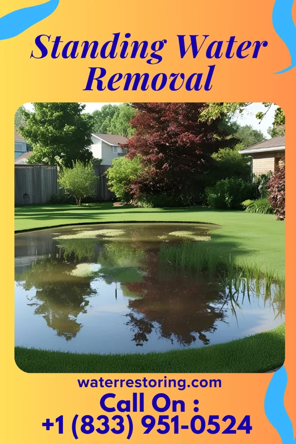 Standing Water Removal in Blakely, PA